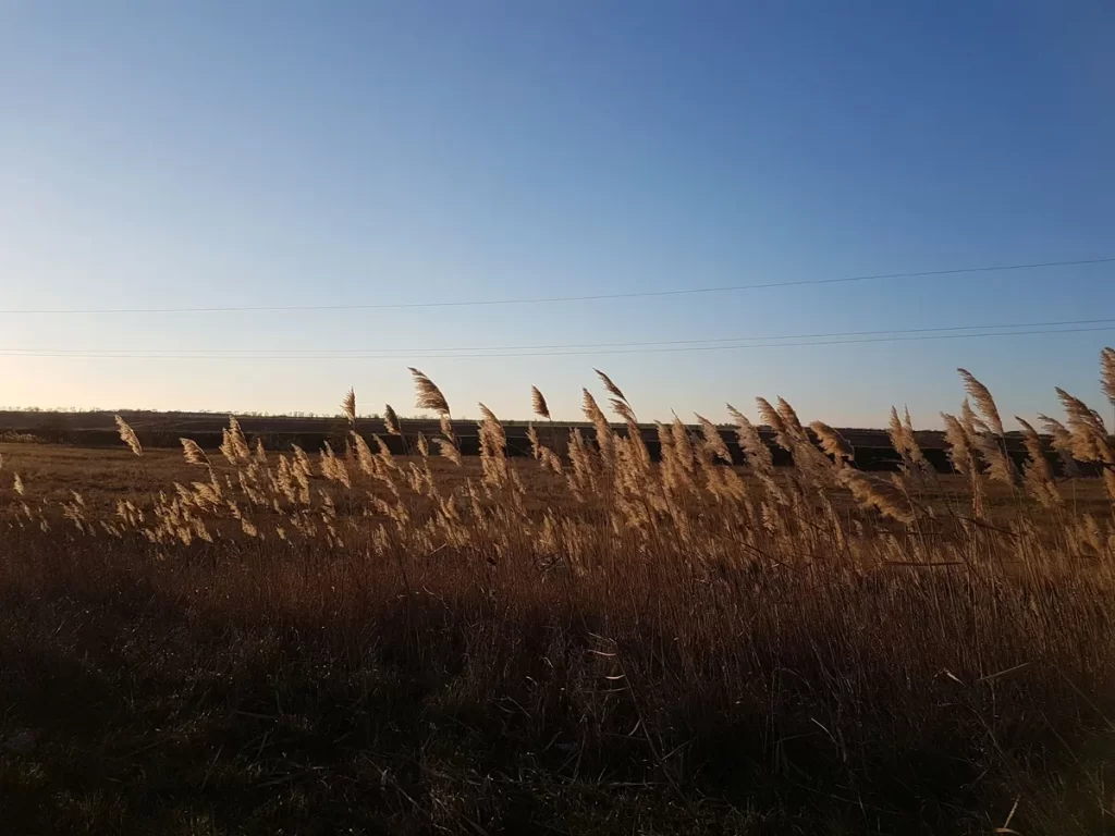 — в городе Украина, Одесская область, Измаил.