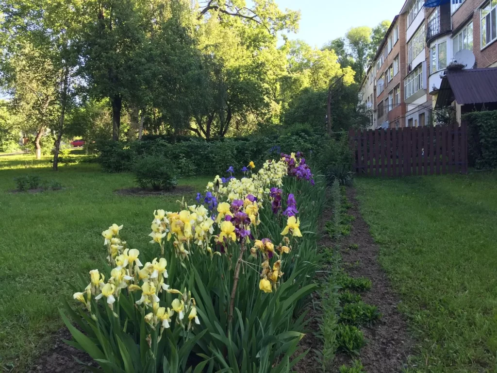 здесь: Goloseevsky Park