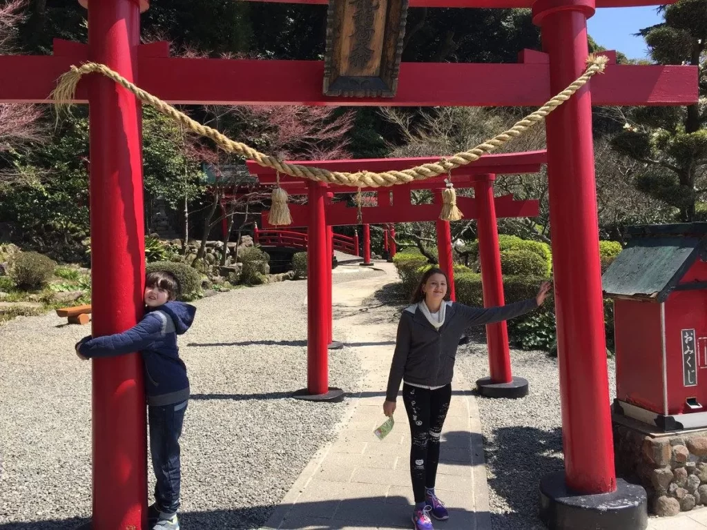 Вот они, синтаистские ворота / These are Shinto temples gates...