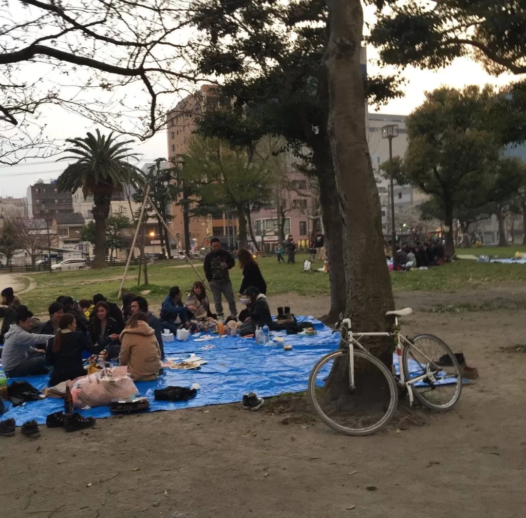 Пикники в честь цветения сакуры / Picnics to commemorate the beginning of sakura blossoming