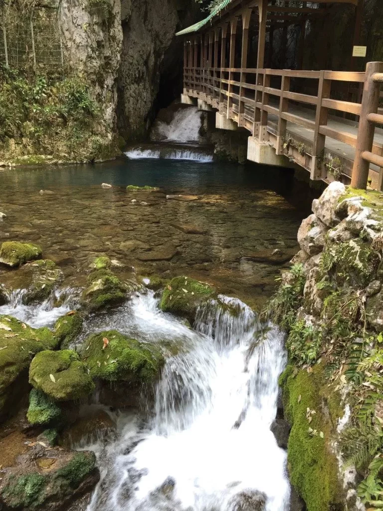 У входа в пещеры Акийошидай / At the entrance to Akiyoshiday caves